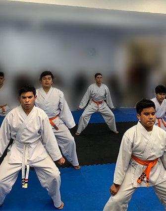 taekwondo community juniors lima peru